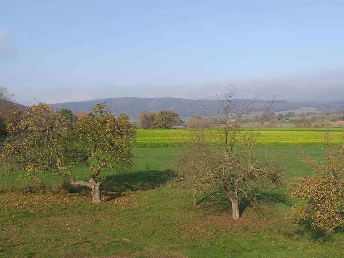 Ferienwohnungen Zum Lindenwirt Oberweser ภายนอก รูปภาพ